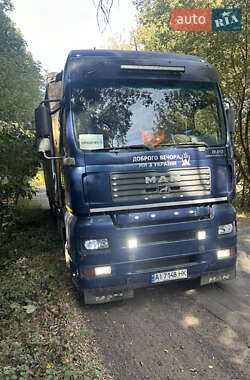 Тягач MAN TGA 2005 в 