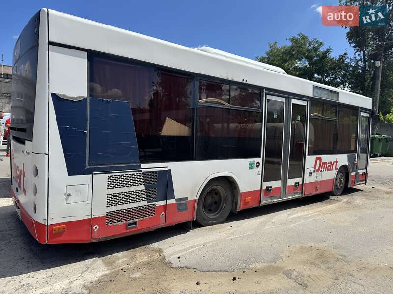 Городской автобус МАЗ 206 2019 в Днепре фото 11 Городской автобус МАЗ 206 2019 в Днепре