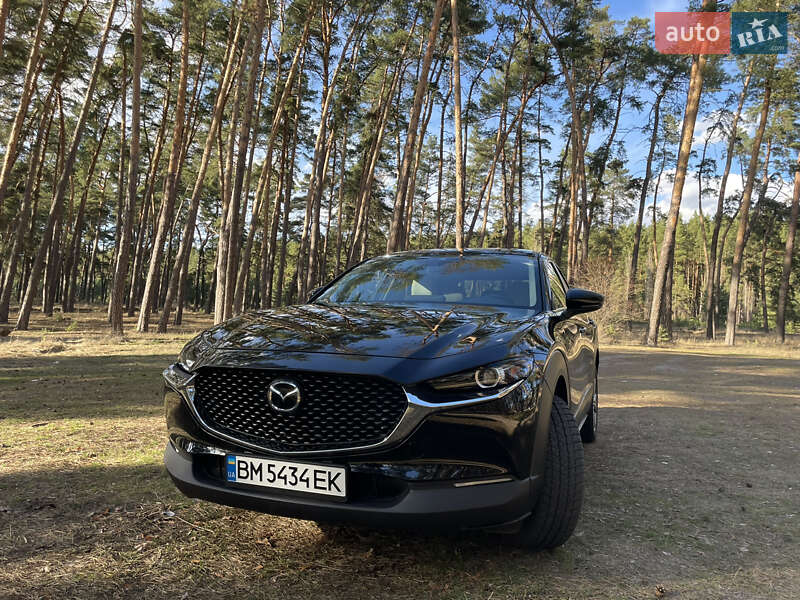 Внедорожник / Кроссовер Mazda CX-30 2020 в Ахтырке фото 11 Внедорожник / Кроссовер Mazda CX-30 2020 в Ахтырке