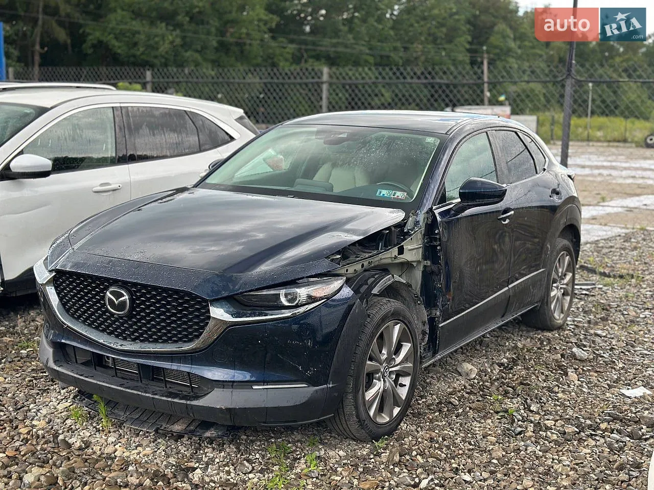 2019 Ford Edge - мініатюра 22