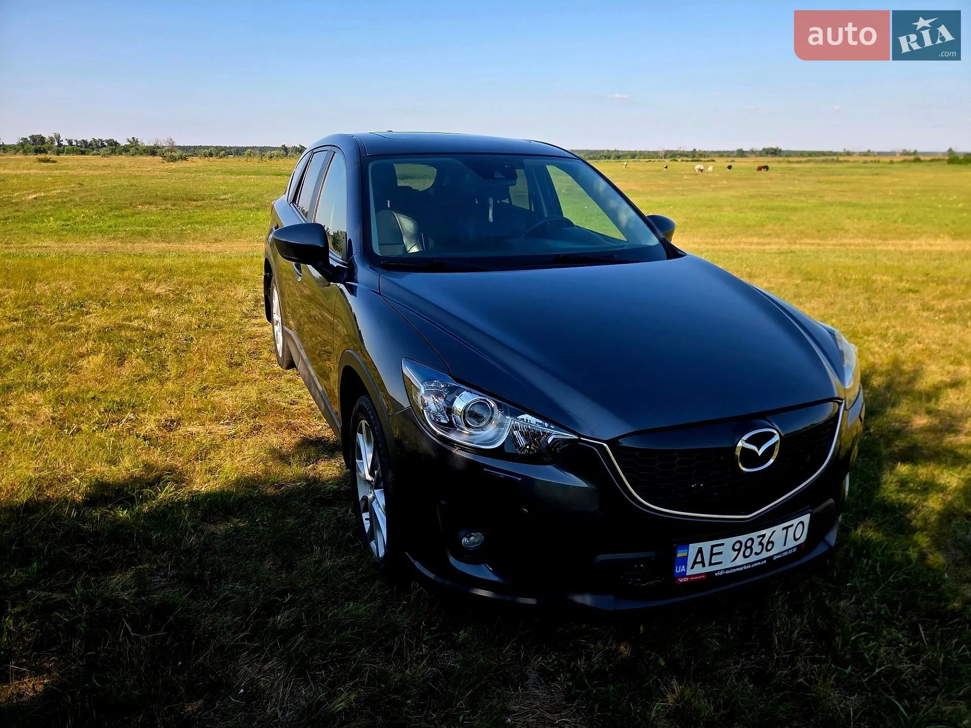2014 Mazda CX-5 - мініатюра 10