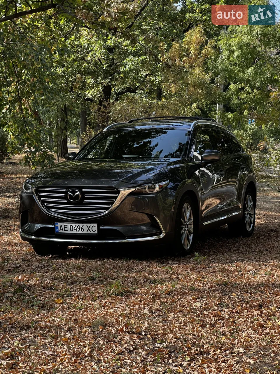 2016 Mazda CX-9 - мініатюра 10