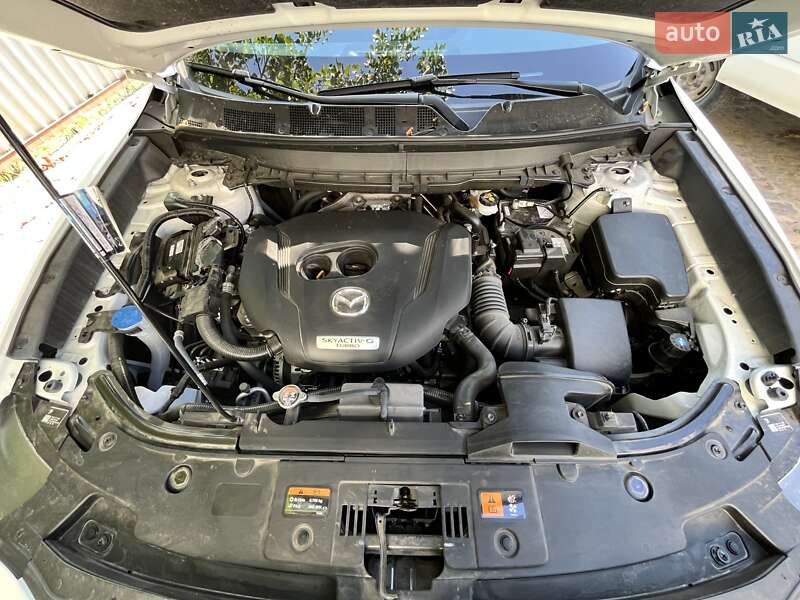 Внедорожник / Кроссовер Mazda CX-9 2021 в Маньковке