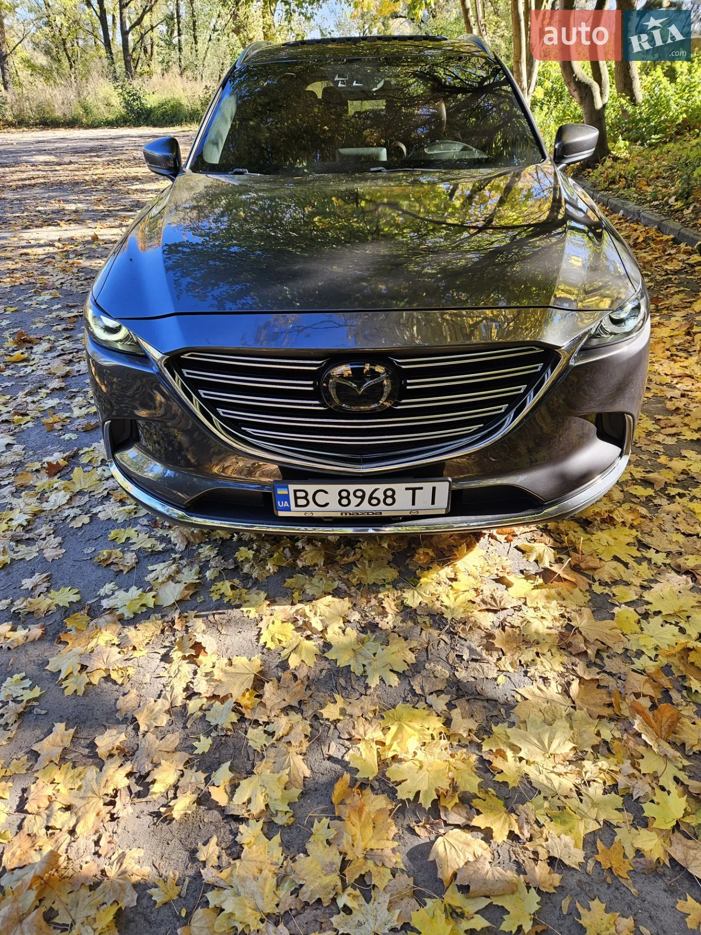 2016 Mazda CX-9 - мініатюра 12