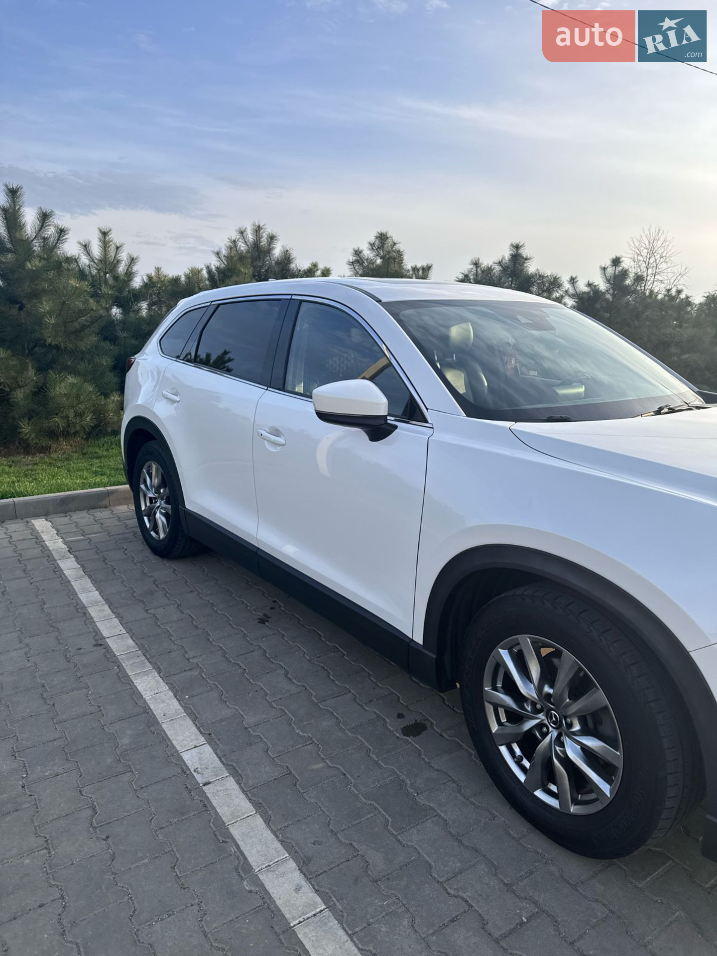 2018 Mazda CX-9 - мініатюра 22