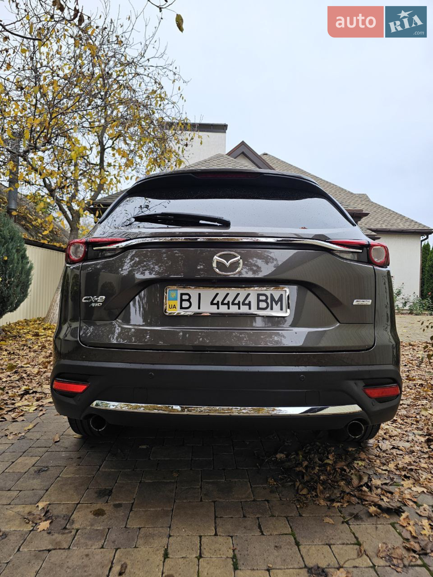 2017 Mazda CX-9 - мініатюра 3