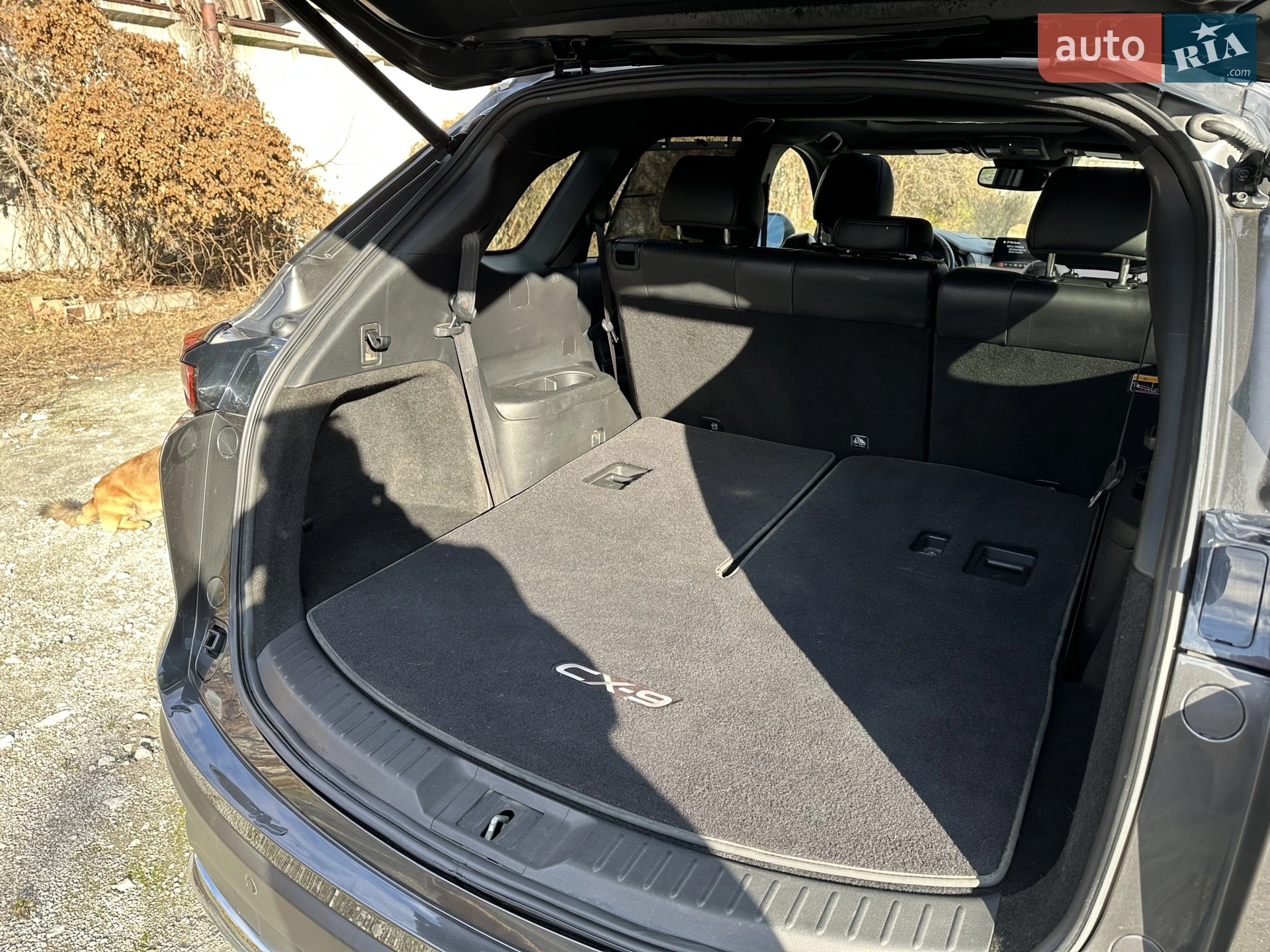 2016 Mazda CX-9 - мініатюра 25
