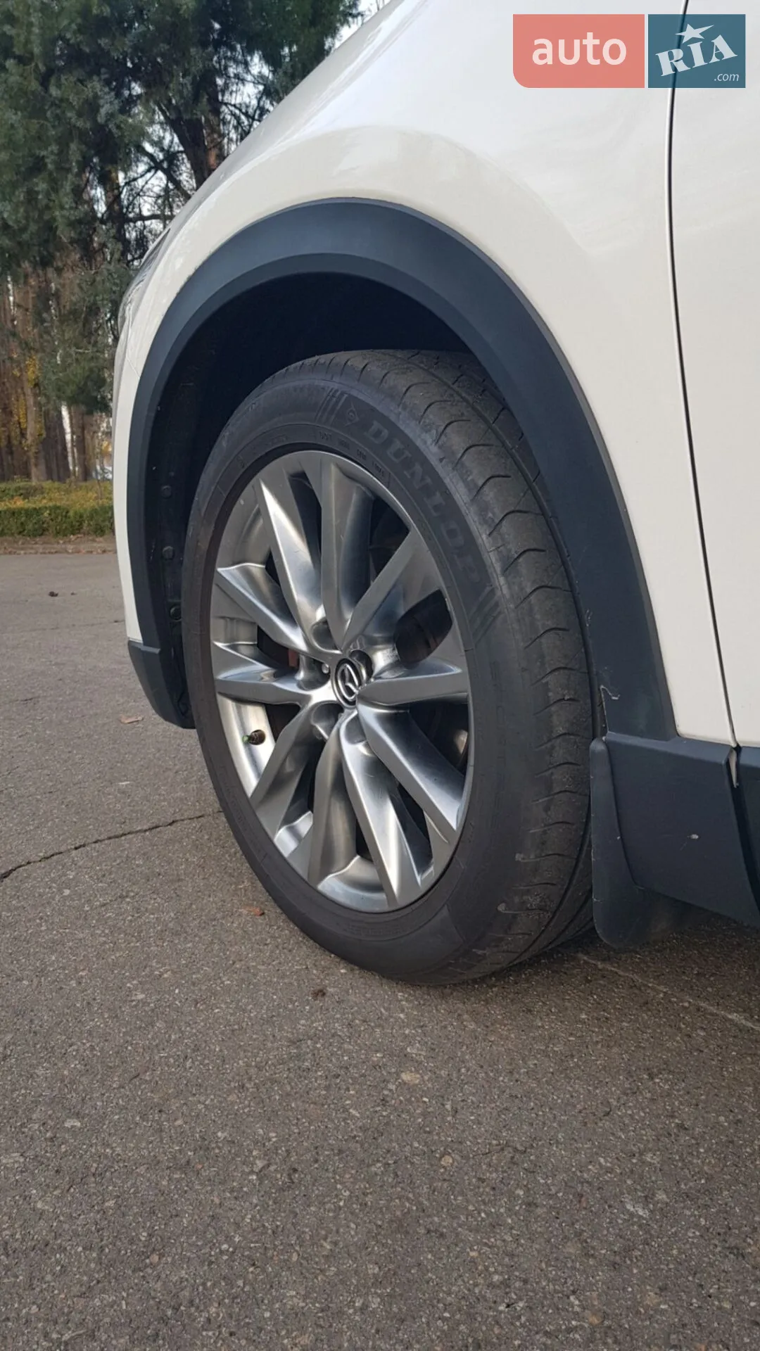 2018 Mazda CX-9 - мініатюра 20