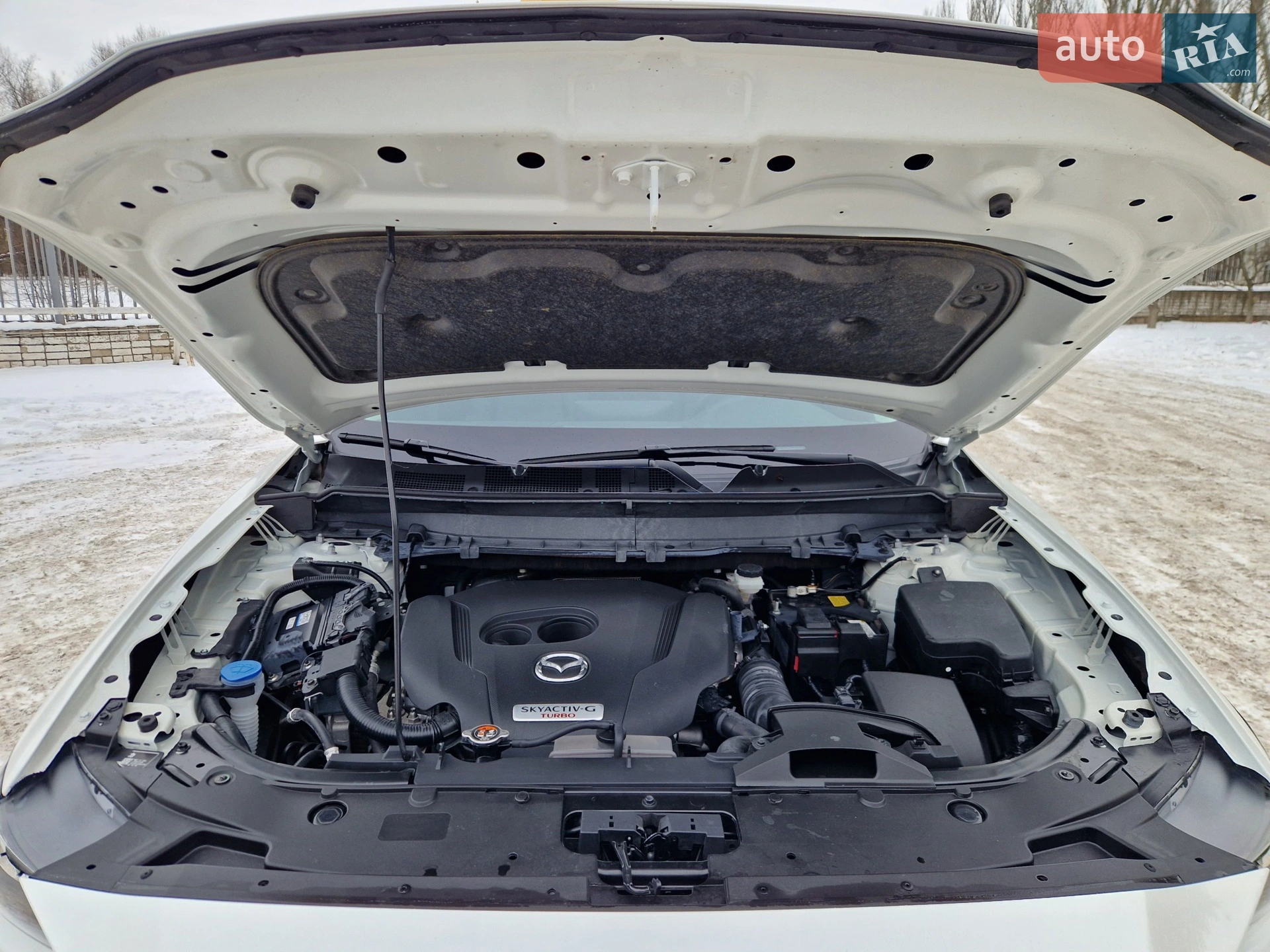 2021 Mazda CX-9 - мініатюра 48