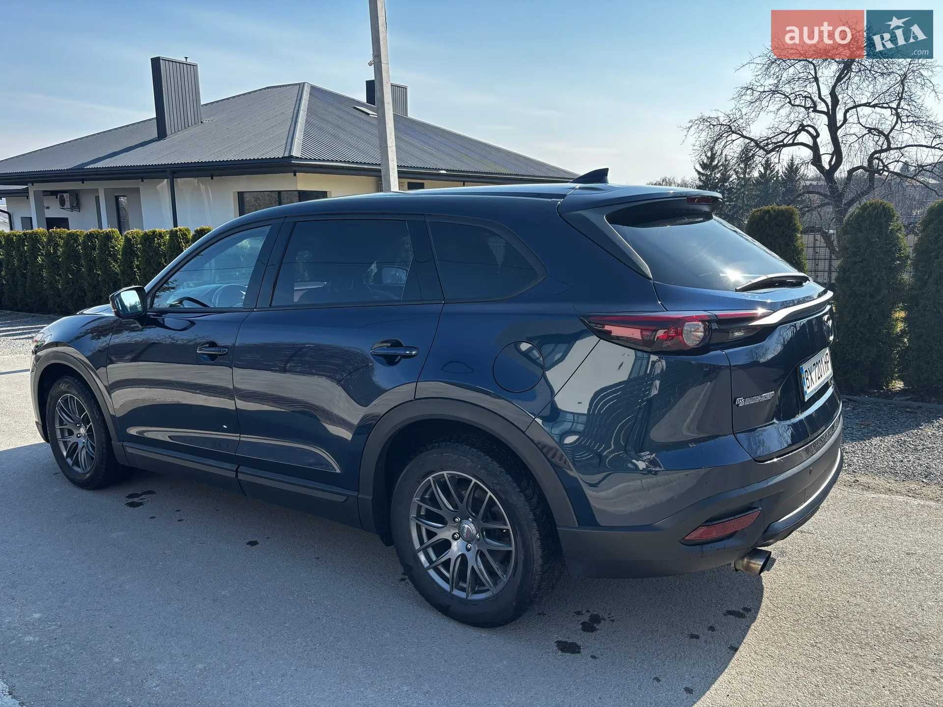 2019 Mazda CX-9 - мініатюра 5