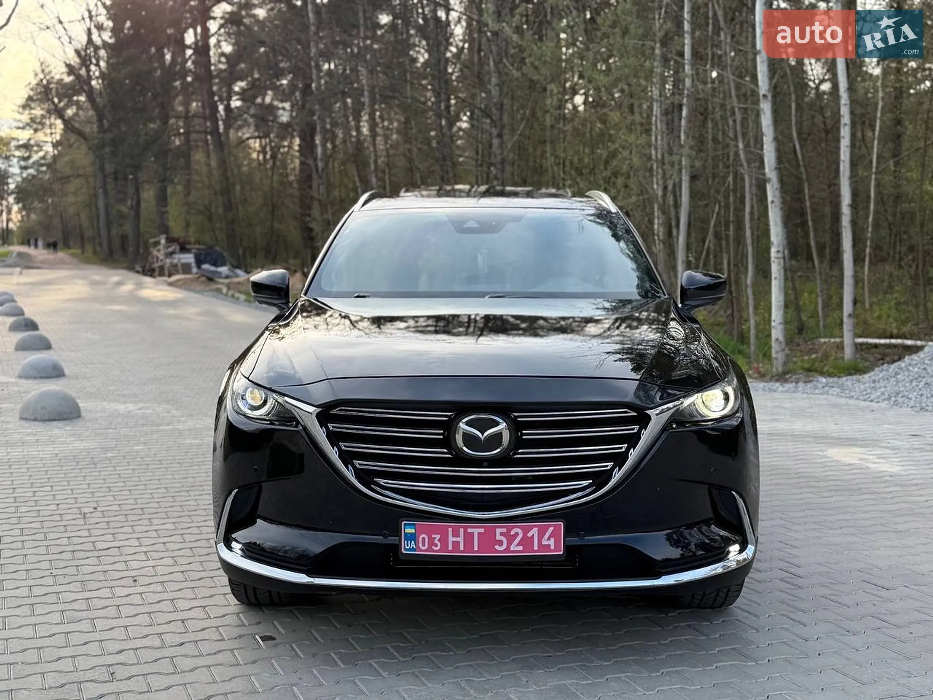 2021 Mazda CX-9 - мініатюра 33