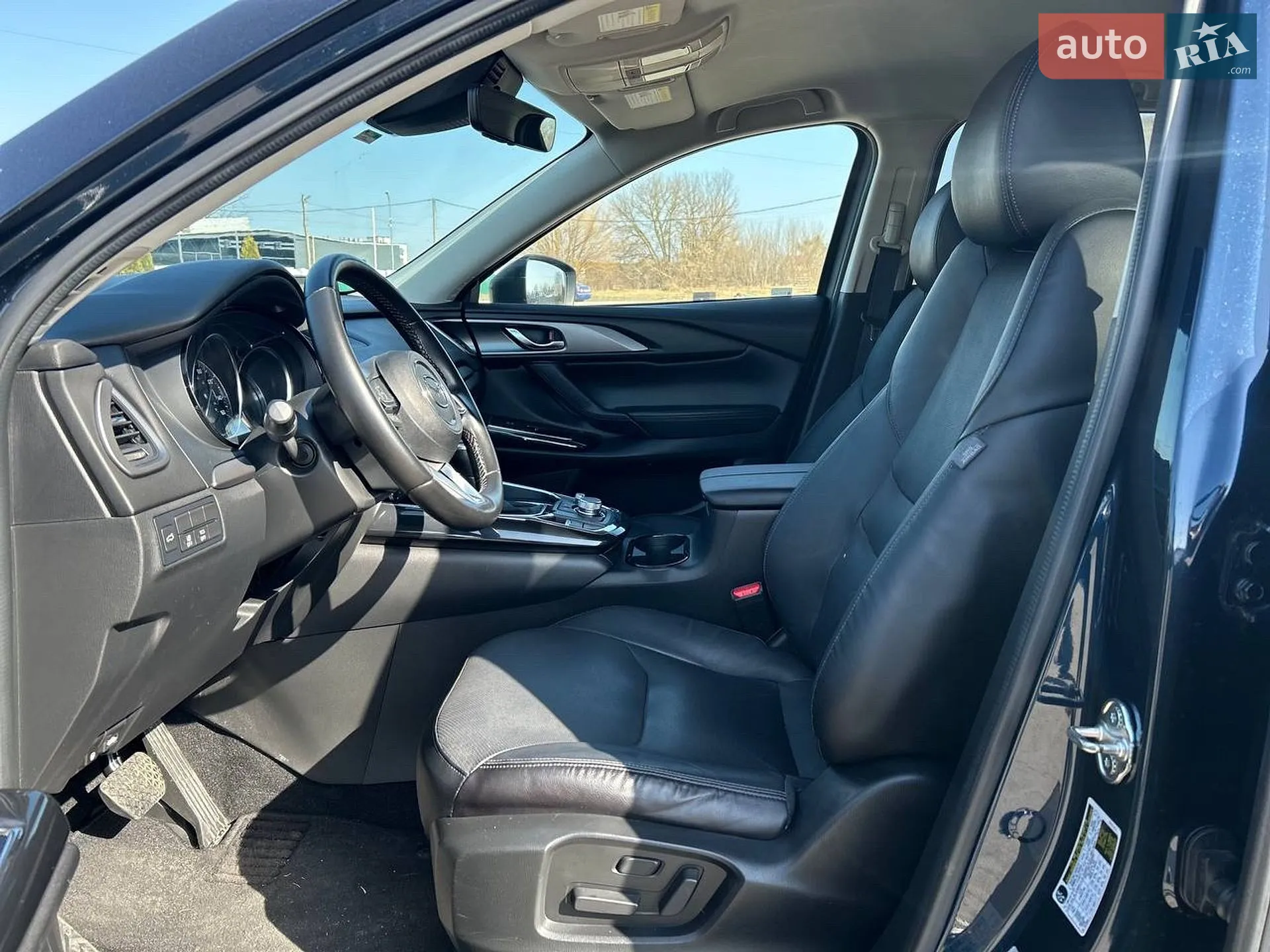 2019 Mazda CX-9 - мініатюра 11