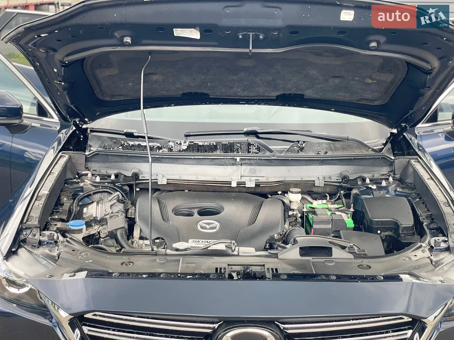 2019 Mazda CX-9 - мініатюра 29