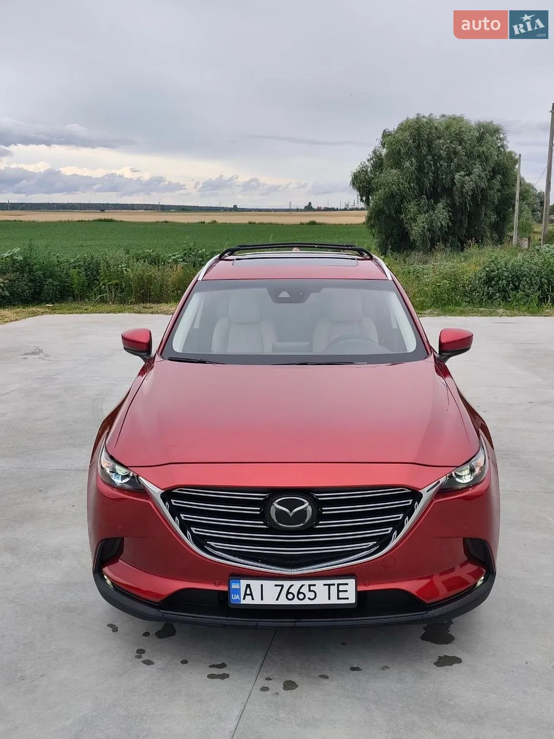 2018 Mazda CX-9 - мініатюра 17