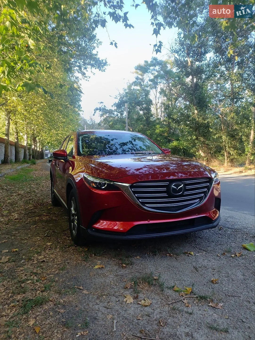 2019 Mazda CX-9 - мініатюра 2
