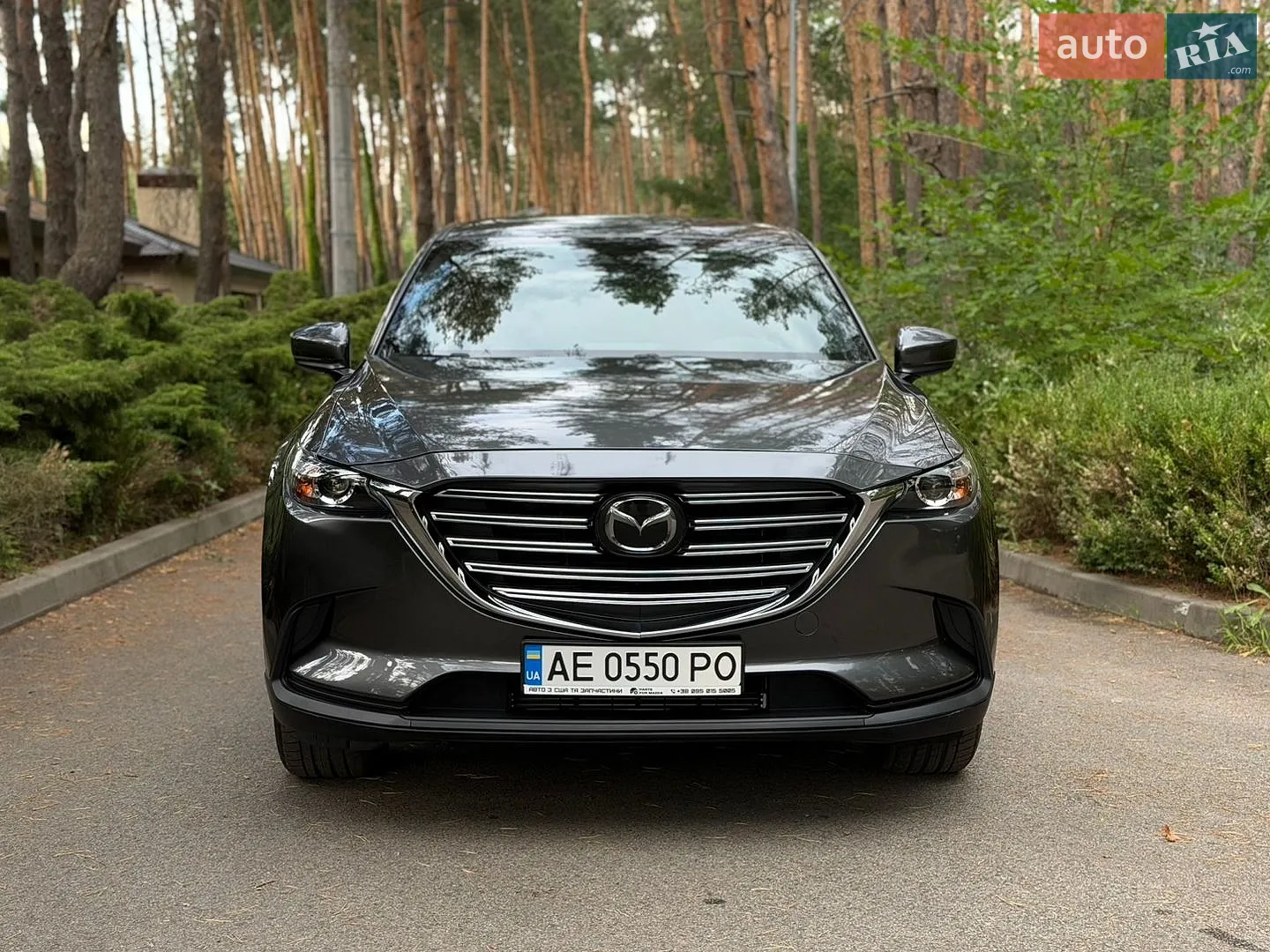 2021 Mazda CX-9 - мініатюра 2
