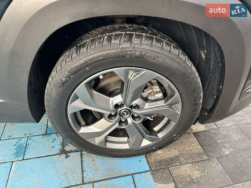 Внедорожник / Кроссовер Mazda MX-30 2020 в Луцке фото 42 Внедорожник / Кроссовер Mazda MX-30 2020 в Луцке