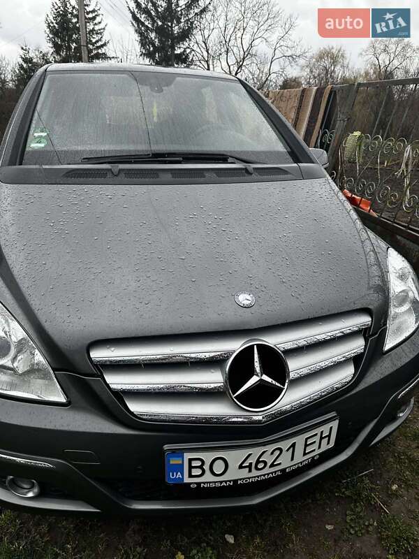 Хэтчбек Mercedes-Benz B-Class 2008 в Лановцах