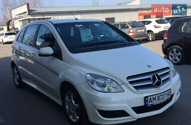 Хэтчбек Mercedes-Benz B-Class 2010 в Житомире