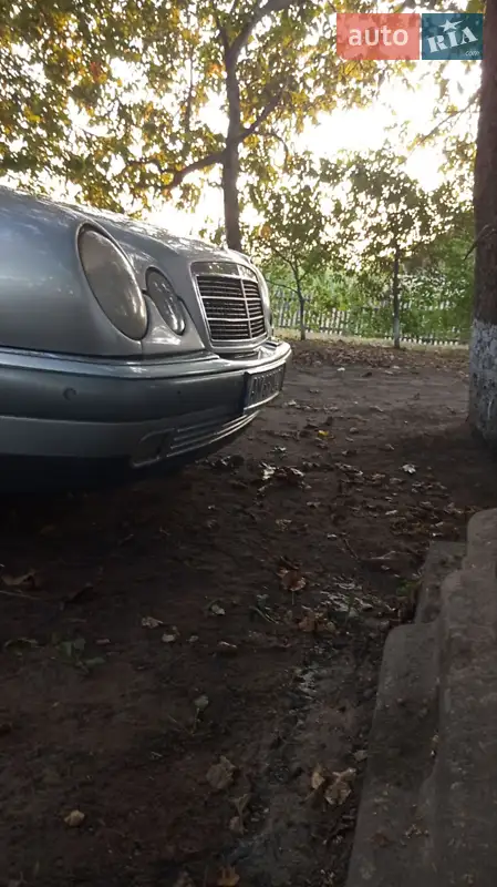 Mercedes-Benz C-Class 1997 VIN WDB2100631A480976 фото оголошення 6 з 48