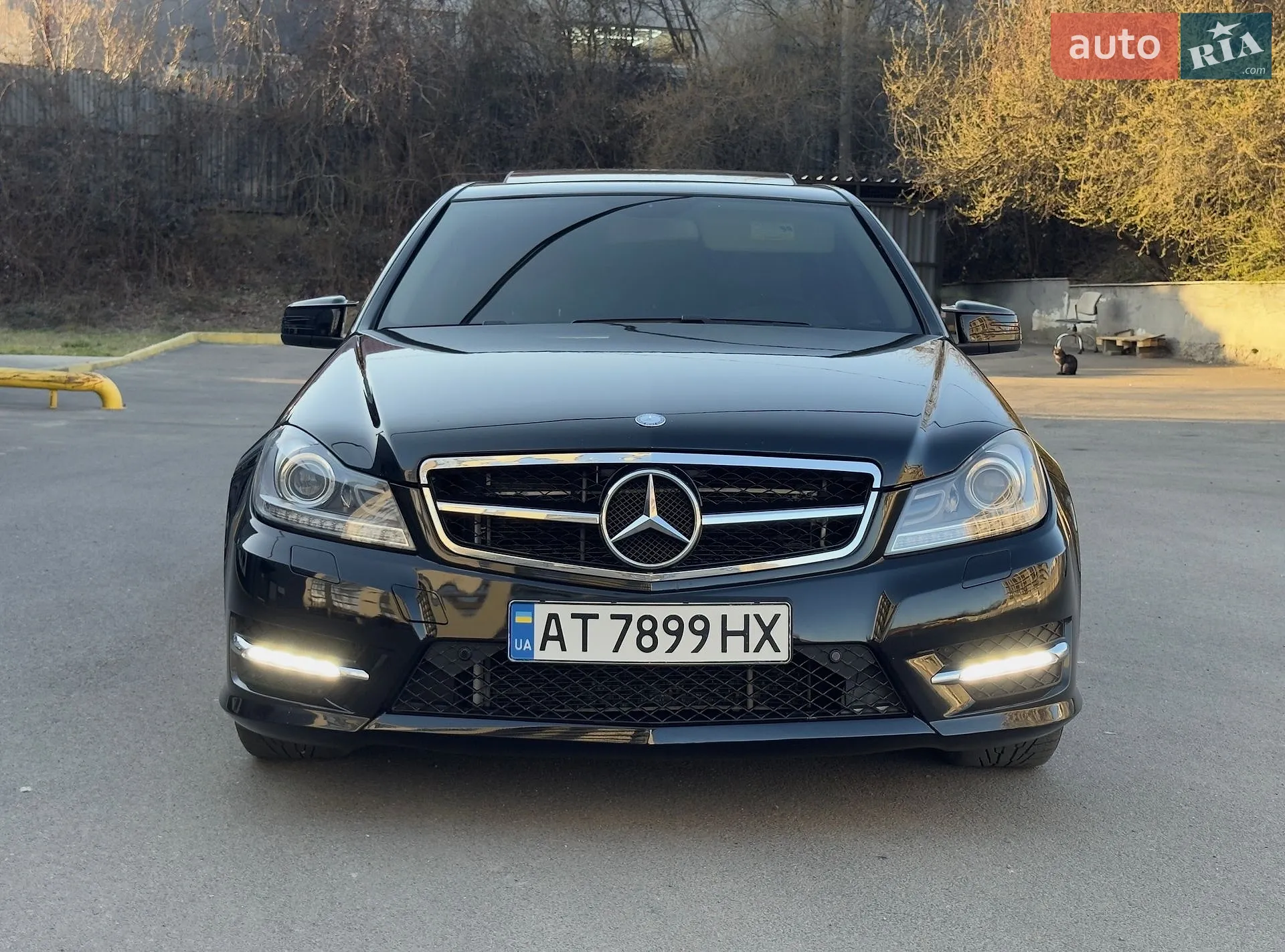 2014 Mercedes-Benz C-klasse - фото 1