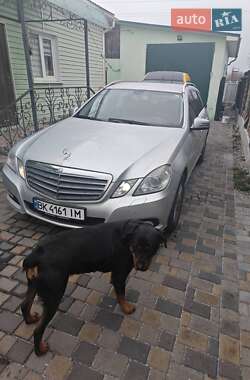 Універсал Mercedes-Benz E-Class 2010 в 