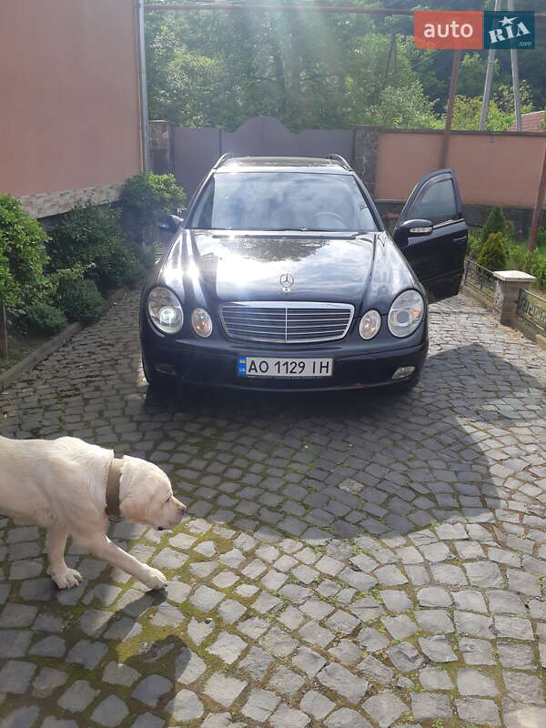 Універсал Mercedes-Benz E-Class 2004 в Мукачевому