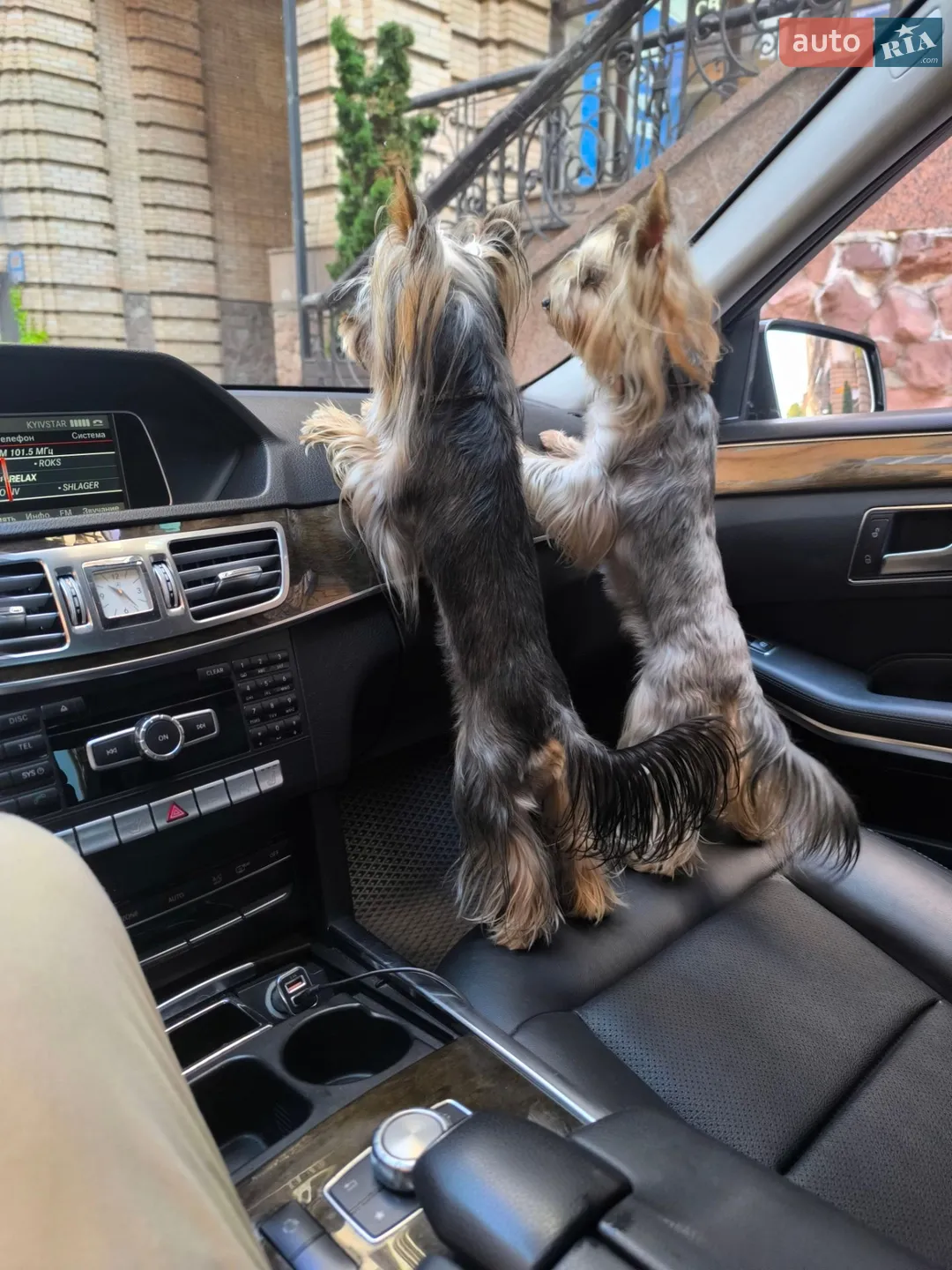 2013 Mercedes-Benz E-klasse - мініатюра 2