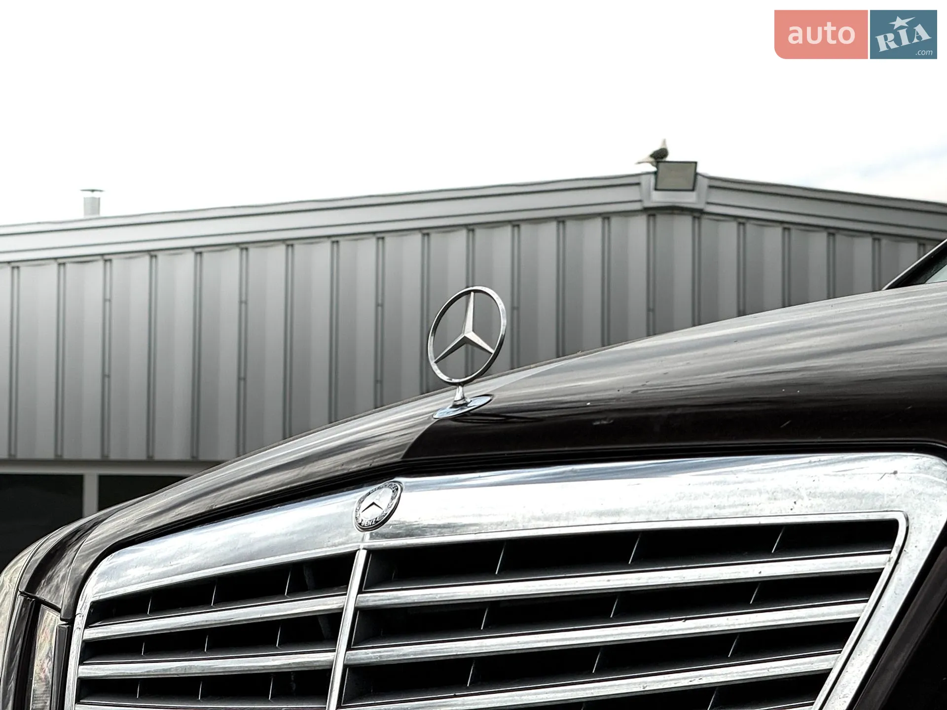 2011 Mercedes-Benz E-klasse - мініатюра 5