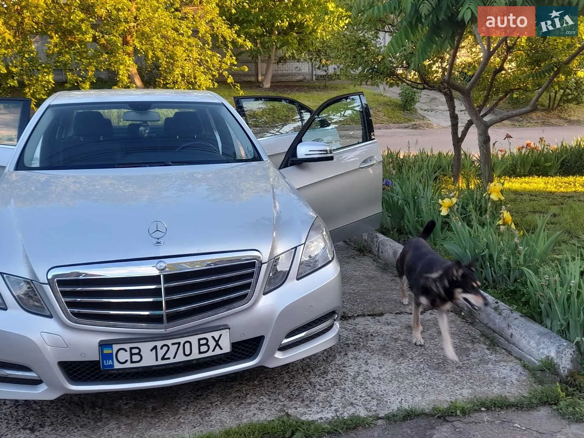 2012 Mercedes-Benz E-klasse - мініатюра 5