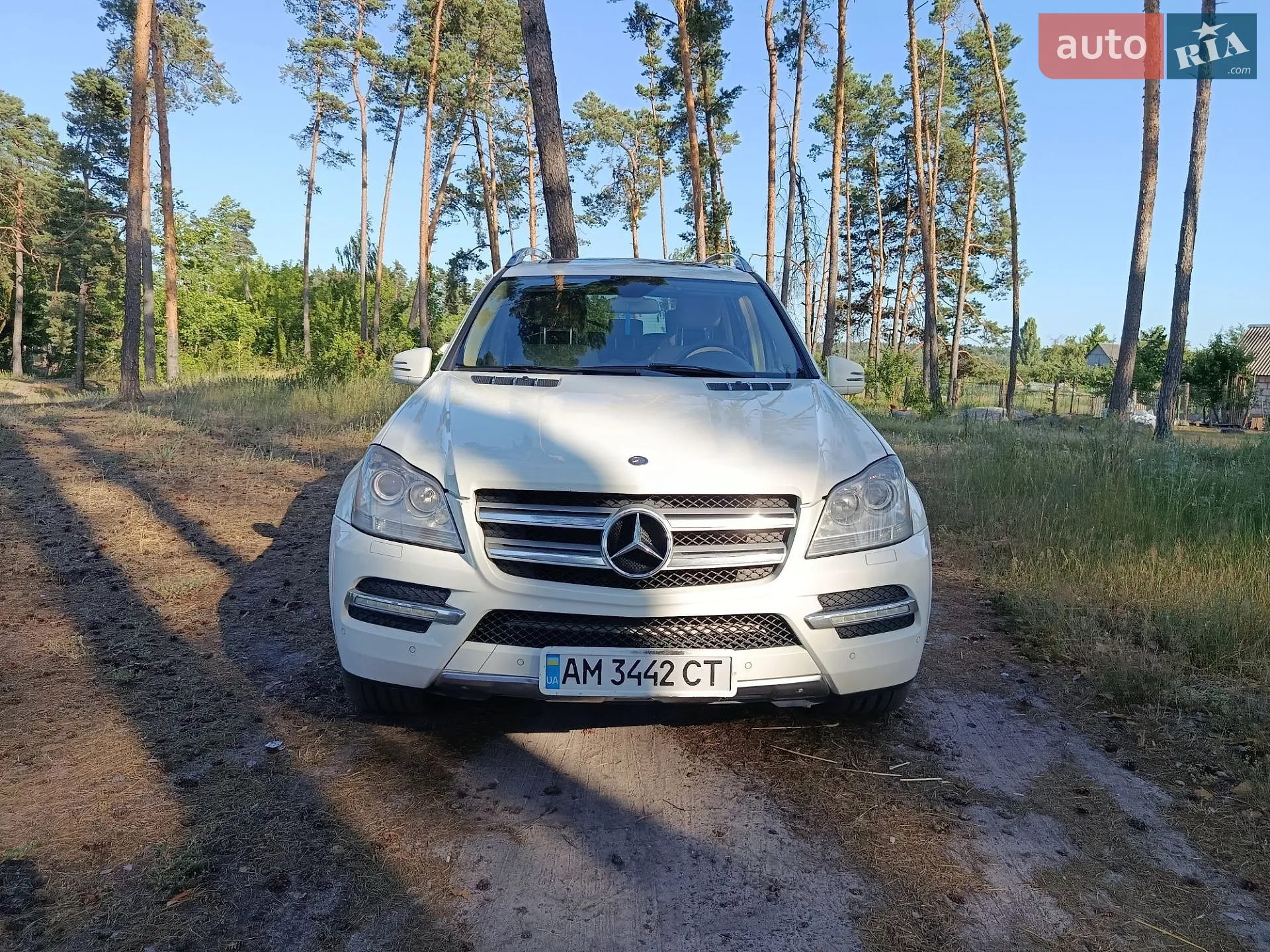 2010 Mercedes-Benz GL-klasse - мініатюра 8