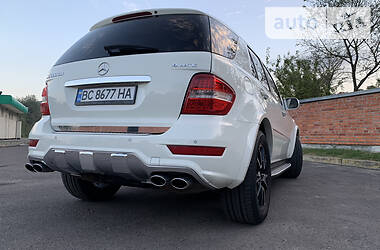 Внедорожник / Кроссовер Mercedes-Benz M-Class 2010 в 