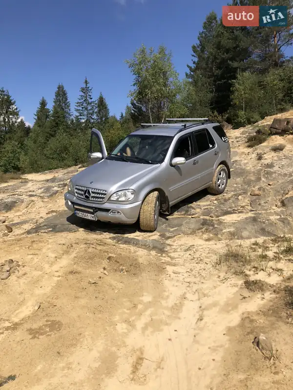 Mercedes-Benz M Class 2003 VIN WDC1631131A420955 фото оголошення 16 з 45