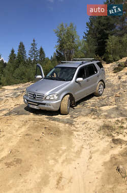 Внедорожник / Кроссовер Mercedes-Benz M-Class 2003 в 