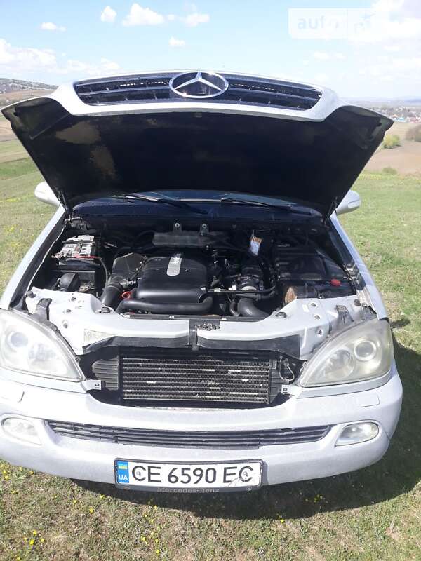 Внедорожник / Кроссовер Mercedes-Benz M-Class 2003 в Герце фото 32 Внедорожник / Кроссовер Mercedes-Benz M-Class 2003 в Герце