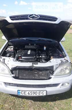 Внедорожник / Кроссовер Mercedes-Benz M-Class 2003 в 
