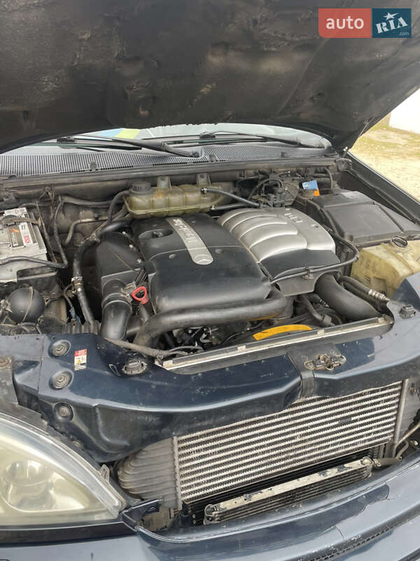 Внедорожник / Кроссовер Mercedes-Benz M-Class 2003 в Коломые