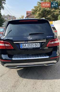 Внедорожник / Кроссовер Mercedes-Benz M-Class 2012 в 