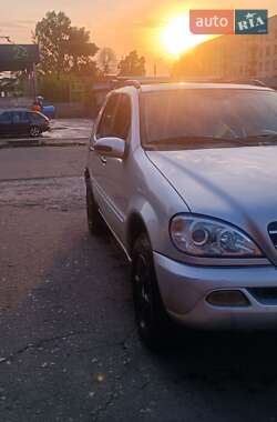 Внедорожник / Кроссовер Mercedes-Benz M-Class 2003 в Межевой