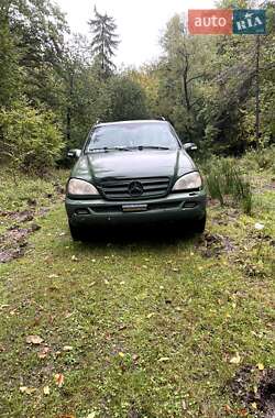 Внедорожник / Кроссовер Mercedes-Benz M-Class 2003 в 