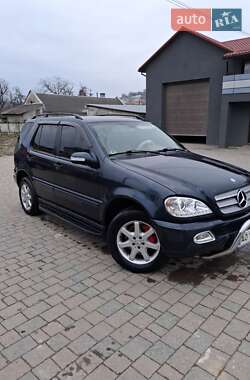 Позашляховик / Кросовер Mercedes-Benz M-Class 2002 в 
