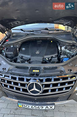 Внедорожник / Кроссовер Mercedes-Benz M-Class 2013 в 