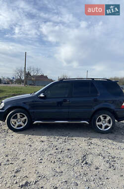 Внедорожник / Кроссовер Mercedes-Benz M-Class 2001 в 