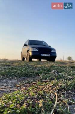 Внедорожник / Кроссовер Mercedes-Benz M-Class 2001 в 