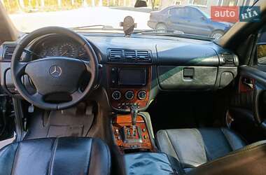 Внедорожник / Кроссовер Mercedes-Benz M-Class 2003 в 