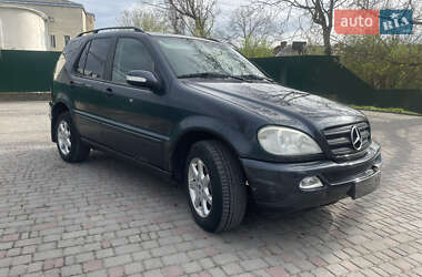 Внедорожник / Кроссовер Mercedes-Benz M-Class 2003 в Залещиках