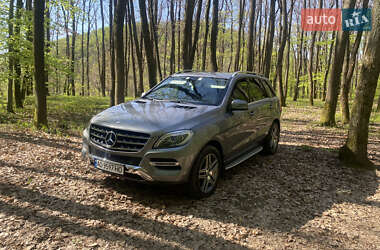 Внедорожник / Кроссовер Mercedes-Benz M-Class 2013 в 