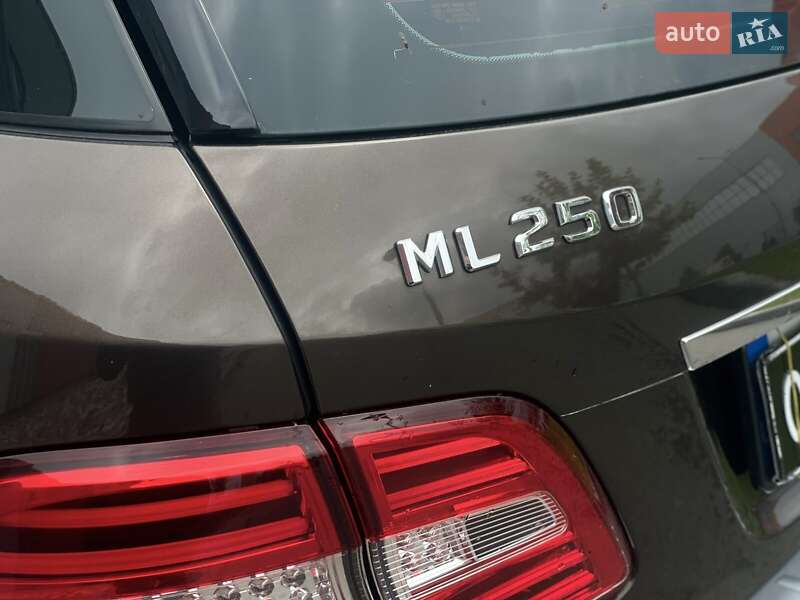 Внедорожник / Кроссовер Mercedes-Benz M-Class 2012 в Днепре
