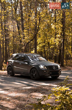 Внедорожник / Кроссовер Mercedes-Benz M-Class 2008 в 