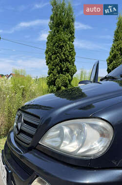 Внедорожник / Кроссовер Mercedes-Benz M-Class 2001 в 